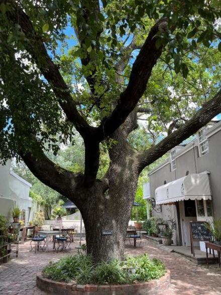 Hotel Cafe Felix & Old Oak Manor Riebeek-Kasteel Zewnętrze zdjęcie