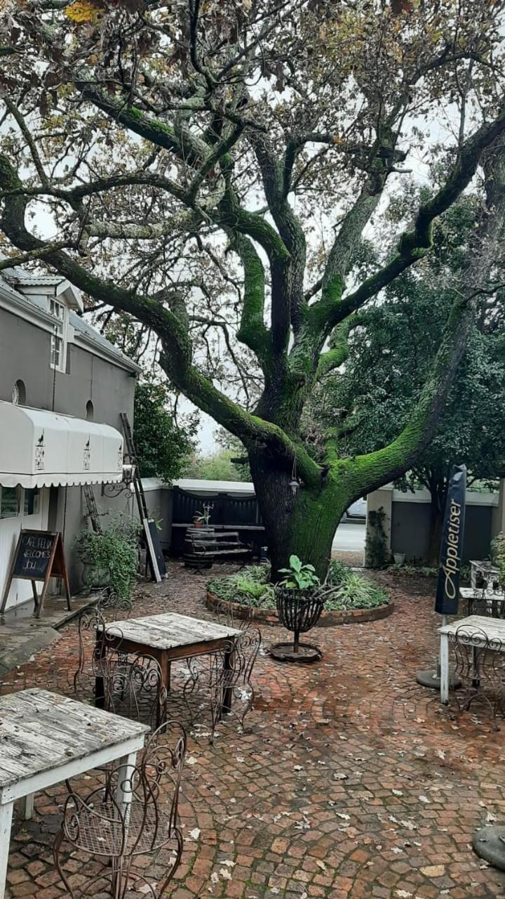 Hotel Cafe Felix & Old Oak Manor Riebeek-Kasteel Zewnętrze zdjęcie